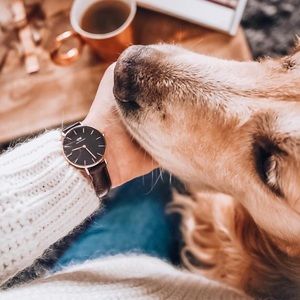 NOT FOR SALE Daniel Wellington Classic Leather